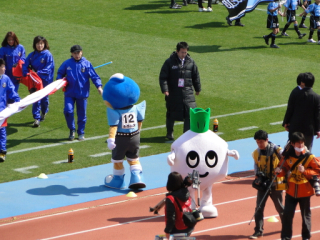 DSC07264