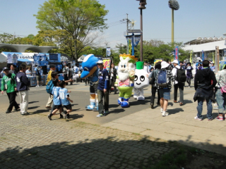 DSC04245