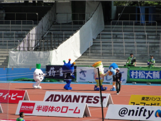DSC04282