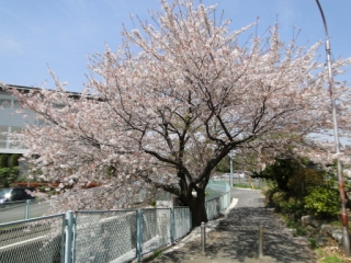 DSC04170