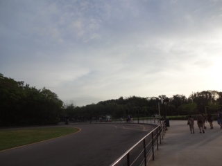 DSC00225