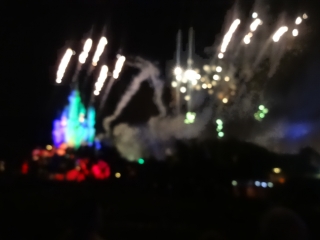 DSC00524