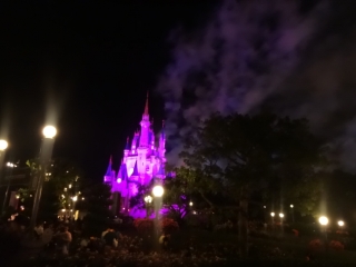 DSC00536