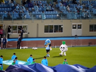 p2030509