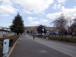 DSC09963