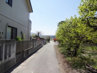 DSC00895