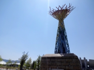 DSC00907