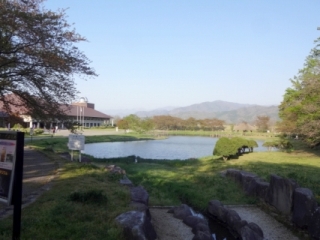 DSC00981
