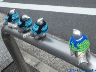 P1040255
