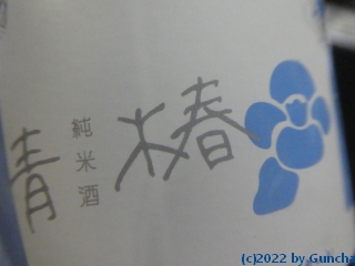 P1060412