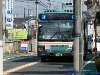 P1030753
