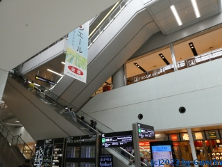 P1030805