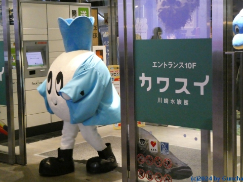 P1010525