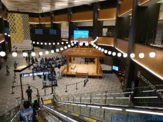P1030990