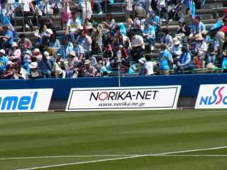 P1010508.jpg
